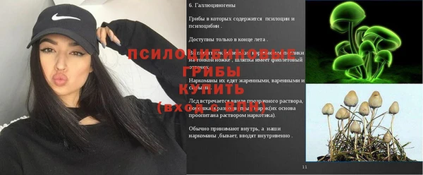 MDMA Михайловск