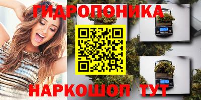 гидропоника Гусь-Хрустальный