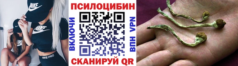 Псилоцибиновые грибы мицелий  Узловая 