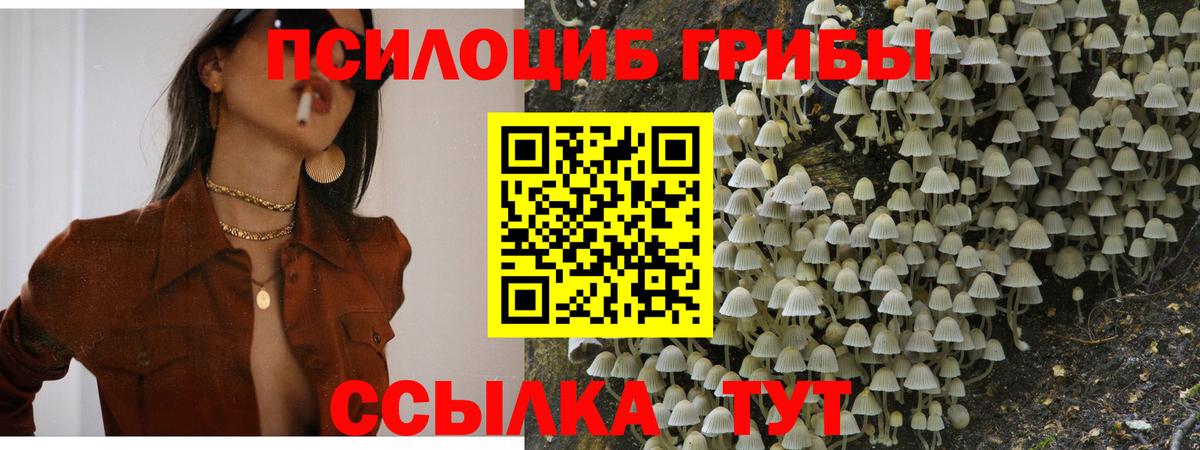 Галлюциногенные грибы ЛСД Узловая